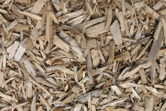 biomass boilers Bedgrove